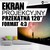 Ekran projekcyjny ścienny 244X183 120 4:3 mat