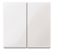 Merten 432519 light switch Thermoplastic White