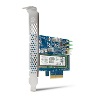 HP Turbo Drive 256 GB PCIe Solid State Drive