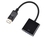 APM 590473 câble vidéo et adaptateur 0,15 m DisplayPort VGA (D-Sub) Noir