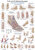 Anatomische Lehrtafel Fuß und Fußerkrankungen Erlerzimmer 70 x 100 cm Kunststoff-Folie mit Metallbeleistung (1 Stück), Detailansicht