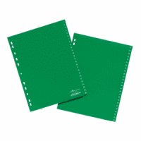 Register A4 1-52 PP grün