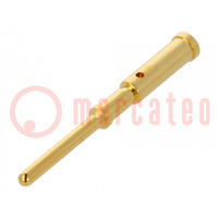 Contact; male; gold-plated; 0.5mm2; grounding contact; crimped