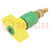 Morsetto da laboratorio; giallo-verde; 1kVDC; 200A; ottone; 143mm