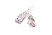 Dexlan 848050 netwerkkabel Grijs 0,5 m Cat6 U/UTP (UTP)