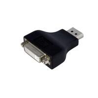 Adaptateur Vidéo Monobloc DisplayPort® vers DVI - Convertisseur DP - 1920x1200