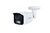 PLANET ICA-3480F security camera Bullet IP security camera Indoor & outdoor Ceiling