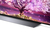 LG OLED83C17LA 2,11 m (83") 4K Ultra HD Smart-TV WLAN Schwarz