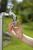 Gardena 18222-50 raccord des tuyaux d'eau Connecteur de robinet Gris 1 pièce(s)