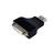 Adaptateur Vidéo Monobloc DisplayPort® vers DVI - Convertisseur DP - 1920x1200