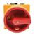 Eaton Eaton Moeller Trennschalter 3-polig 20A Tafelmontage Rot IP 65 6,5kW 440V ac 3-phasig Schließer