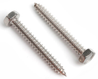 6.3 X 100 HEXAGON HEAD SELF TAPPING SCREW DIN 7976C A2 STAINLESS STEEL