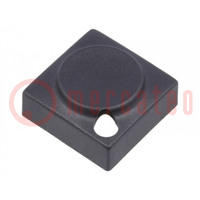 Button; rectangular; black; polyamide; 15.5x15.5mm
