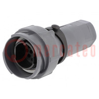 Connector: circular; plug; male; PIN: 10; w/o contacts; for cable