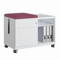 Bisley Sitzkissen für Note Caddy B 800 und T 490 mm, Farbe: LTH49 angel