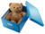 Archivbox Click & Store WOW Mittel, Graukarton, blau