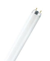 Osram L 36 W/950 fluorescente lamp G13 Daglicht