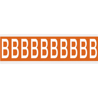 Brady CNL1O B self-adhesive label Rectangle Removable Orange, White 250 pc(s)
