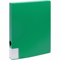 Dokumentenbox A4 PP 35mm vollfarbig grün