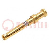 Contacto; hembra; aleación de cobre; dorado; 1mm2; 18AWG; 10A; 250V