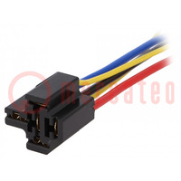 Socket; PIN: 5; 40A; FRC2C-DC12,FRC2C-DC24,LD-12P,LDN-12F; 200mm