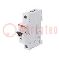 Installatieautomaat; 230VAC; Inom: 63A; Polen: 1; op DIN-rail; 6kA