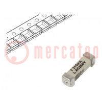 Biztosíték: olvadó; késleltetett; 315mA; 250VAC; 125VDC; SMD; réz