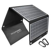 RealPower SP-22E solar panel 22.5 W