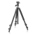Mantona Scout tripode Digitales / cámaras de película 3 pata(s) Negro