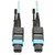 Tripp Lite N842-10M-12-MF InfiniBand és száloptikai kábel MTP Fekete, Kék
