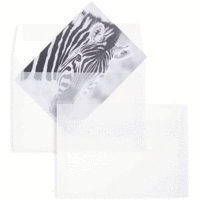 Briefumschläge 125x176mm (DIN B6) 115g/qm HK VE=100 Stück transparent-weiß