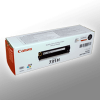 Canon Toner 6273B002 731H schwarz