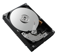 DELL 897NC internal hard drive 3.5" 6 TB SAS