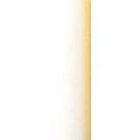 CLAIREFONTAINE Rouleau de papier Kraft couleur 65g. Format 10x0,7m. Coloris Blanc