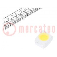 LED; SMD; 3528,PLCC2; bianco neutro; 3500÷5300mcd; 3950-4600K; 70