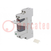 Relay: interface; DPDT; Ucoil: 120VAC; for DIN rail mounting