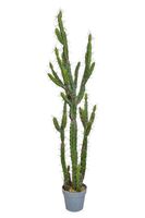 Artificial Cactus - 146cm, Green