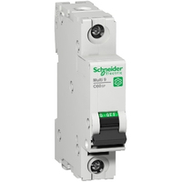 Schneider Electric C60SP áramköri megszakító 1P
