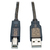 Tripp Lite U042-050 kabel USB 15,24 m USB 2.0 USB A USB B Metaliczny, Srebrny, Półprzezroczysty