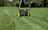 Kärcher 1.444-452.0 tondeuse à gazon Marcher derrière un tracteur tondeuse Batterie Noir, Jaune