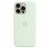 Apple MWNQ3ZM/A pokrowiec na telefon komórkowy 17 cm (6.7") Miętowy