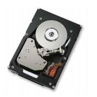 73GB Hard Drive (SAS 15K RPM) **Refurbished** Hard disk interni