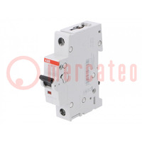 Circuit breaker; 230VAC; Inom: 13A; Poles: 1; Charact: C; 6kA; IP20