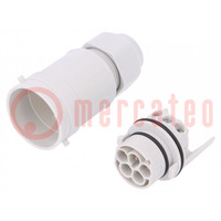 Connector: AC supply; screw terminal; male; 9÷12mm; 1÷2.5mm2; 16A