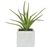Artificial Succulent in White Cement Pot - Red/Green Plant 20cm