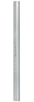 Linex 1950M Line gauge 500 mm Aluminium 1 pc(s)