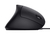 Trust Verto mouse Office Right-hand USB Type-A Optical 1600 DPI
