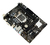Biostar H310MHP 3.0 carte mère Intel® H310 LGA 1151 (Emplacement H4) micro ATX