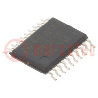 IC: microcontrollore ARM; 48MHz; TSSOP20; 1,65÷3,6VDC; -40÷85°C