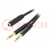 Cable; 0,3m; Cobertura: dorado; negro; Øcable: 3,5mm
